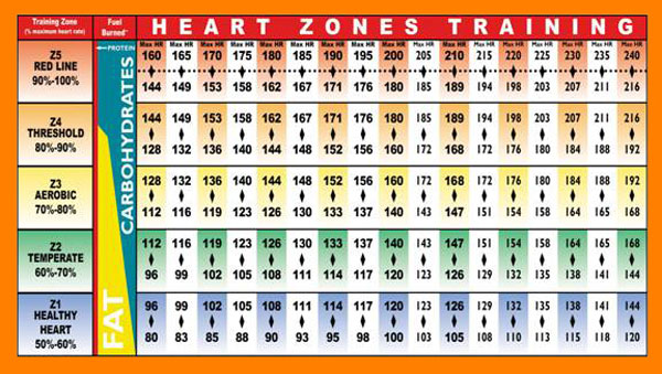 frecuencia-cardiaca-zonas